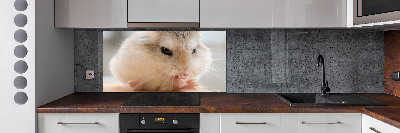 Glazen achterwand keuken Hamster