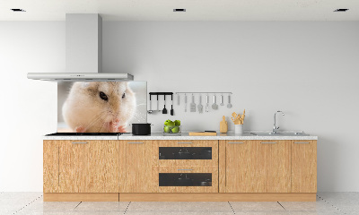 Glazen achterwand keuken Hamster