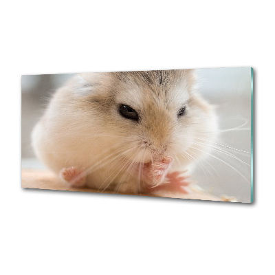Glazen achterwand keuken Hamster