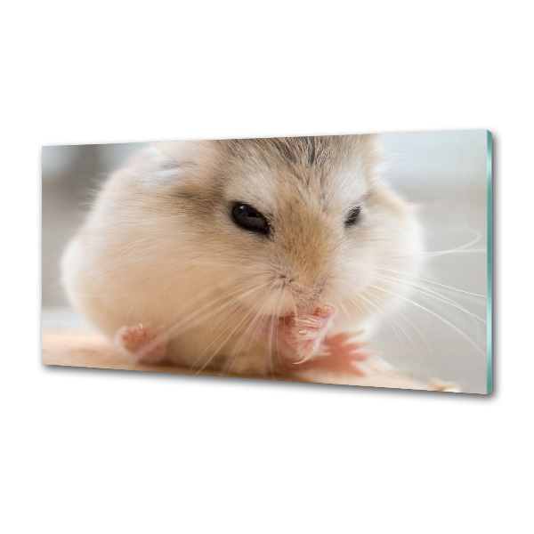 Glazen achterwand keuken Hamster