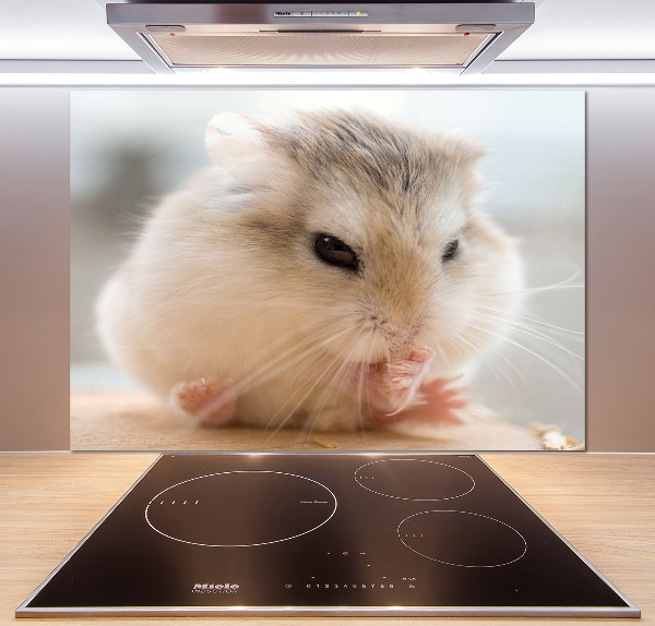 Glazen achterwand keuken Hamster