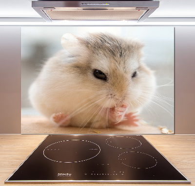 Glazen achterwand keuken Hamster