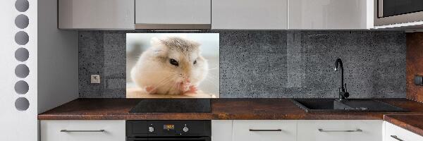 Glazen achterwand keuken Hamster