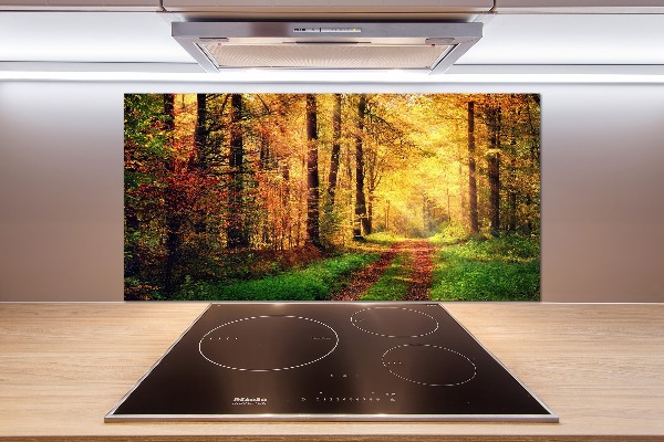 Spatscherm keuken Bos in de herfst