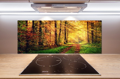 Spatscherm keuken Bos in de herfst