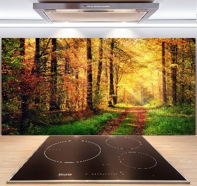 Spatscherm keuken Bos in de herfst
