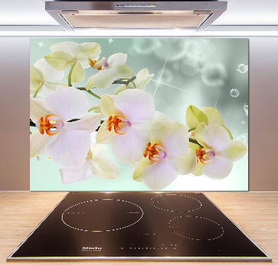Spatscherm keuken Witte orchidee