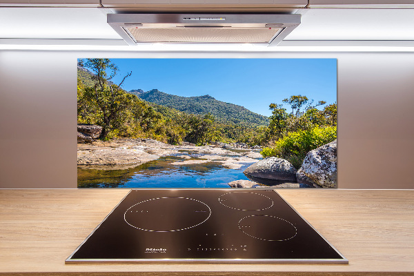 Spatscherm keuken Rivier in het bos