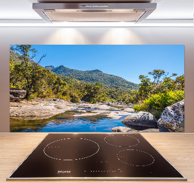 Spatscherm keuken Rivier in het bos