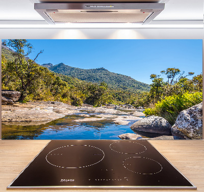 Spatscherm keuken Rivier in het bos