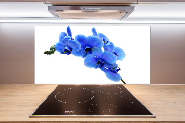 Spatplaat keuken Blauwe orchidee