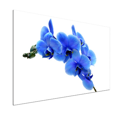 Spatplaat keuken Blauwe orchidee