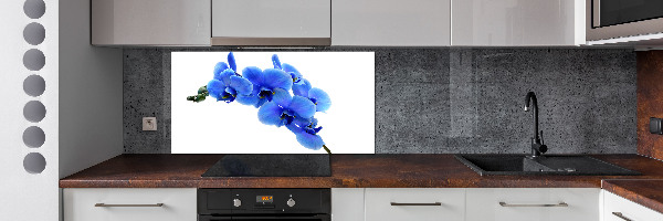 Spatplaat keuken Blauwe orchidee