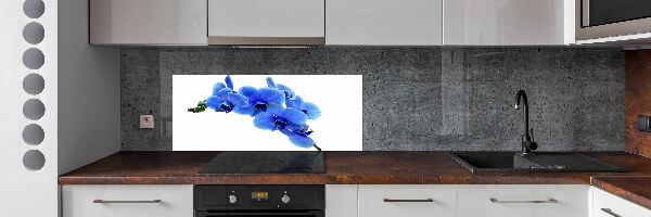 Spatplaat keuken Blauwe orchidee