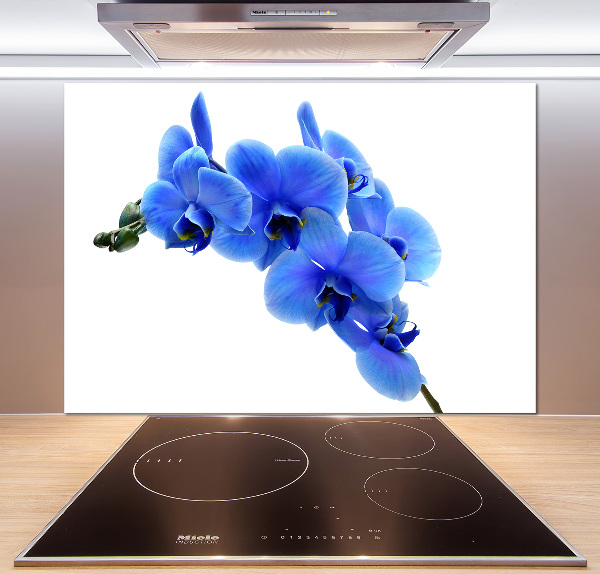 Spatplaat keuken Blauwe orchidee