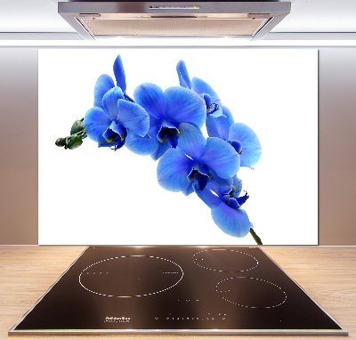 Spatplaat keuken Blauwe orchidee