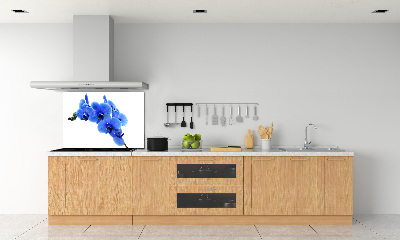 Spatplaat keuken Blauwe orchidee
