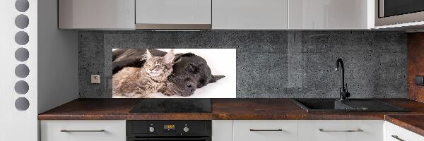 Achterwand keuken Hond met kat