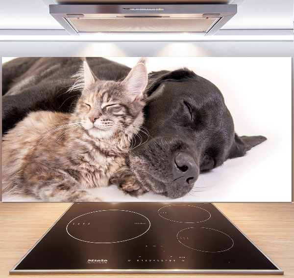 Achterwand keuken Hond met kat