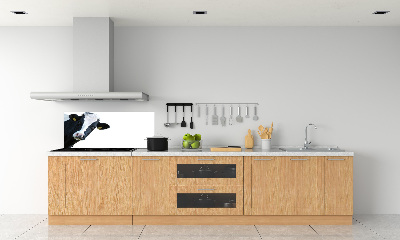 Spatscherm keuken Koe