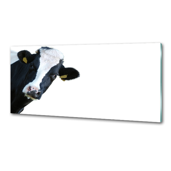 Spatscherm keuken Koe