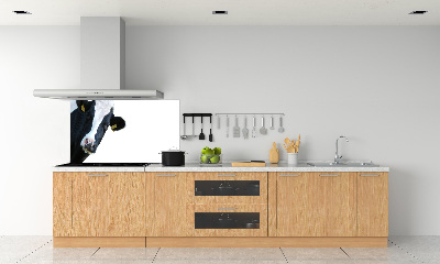 Spatscherm keuken Koe