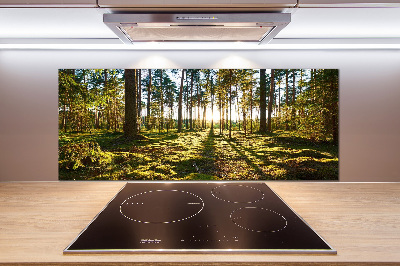 Glazen achterwand keuken Dennenbos