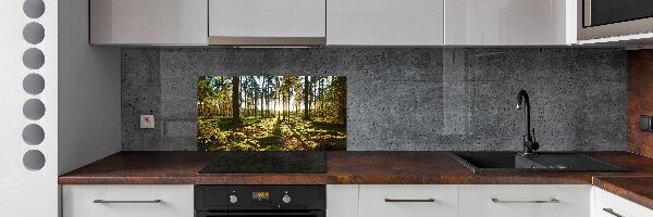 Glazen achterwand keuken Dennenbos