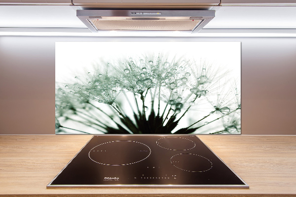 Keuken achterwand Paardenbloemzaden