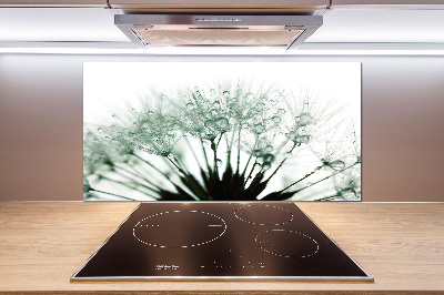 Keuken achterwand Paardenbloemzaden