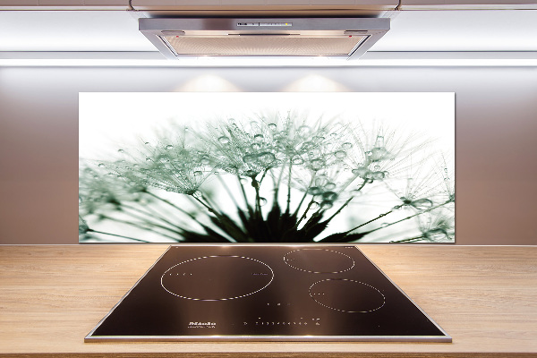 Keuken achterwand Paardenbloemzaden