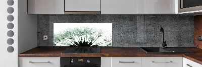 Keuken achterwand Paardenbloemzaden