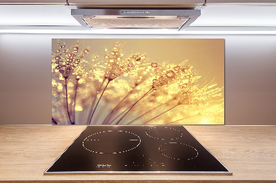 Glazen achterwand keuken Paardenbloemzaden