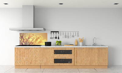 Glazen achterwand keuken Paardenbloemzaden