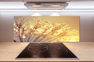 Glazen achterwand keuken Paardenbloemzaden