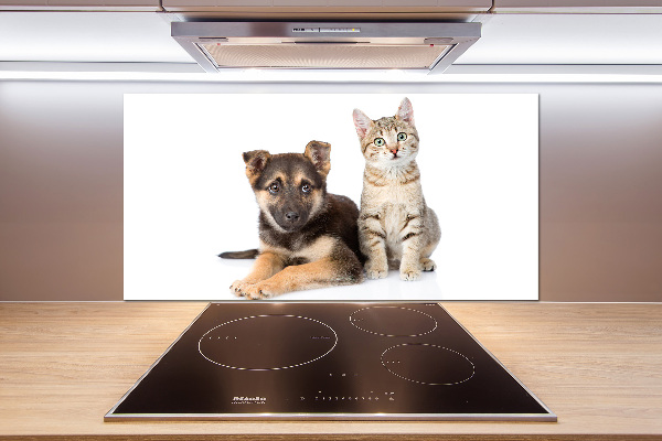 Achterwand keuken Hond en kat