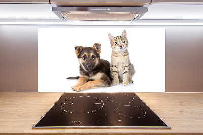 Achterwand keuken Hond en kat