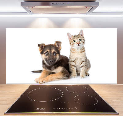 Achterwand keuken Hond en kat