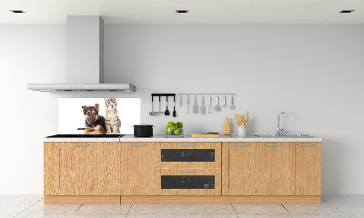 Achterwand keuken Hond en kat