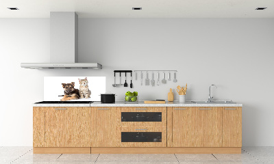 Achterwand keuken Hond en kat