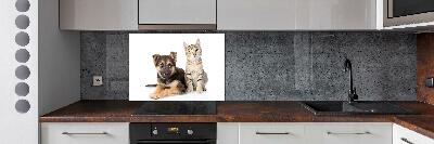 Achterwand keuken Hond en kat