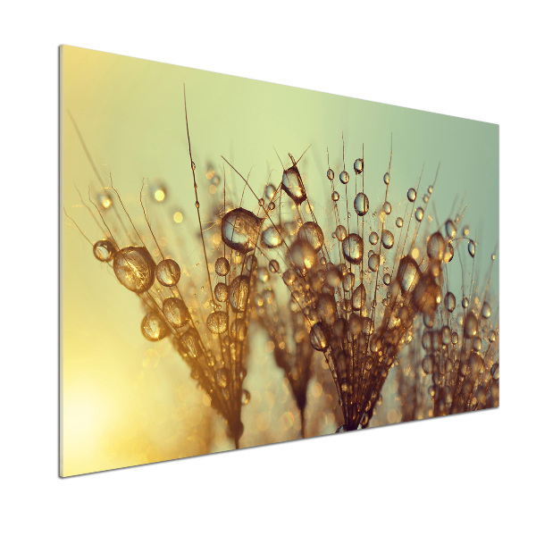 Achterwand keuken Paardenbloemzaden