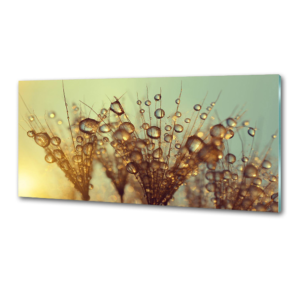 Achterwand keuken Paardenbloemzaden