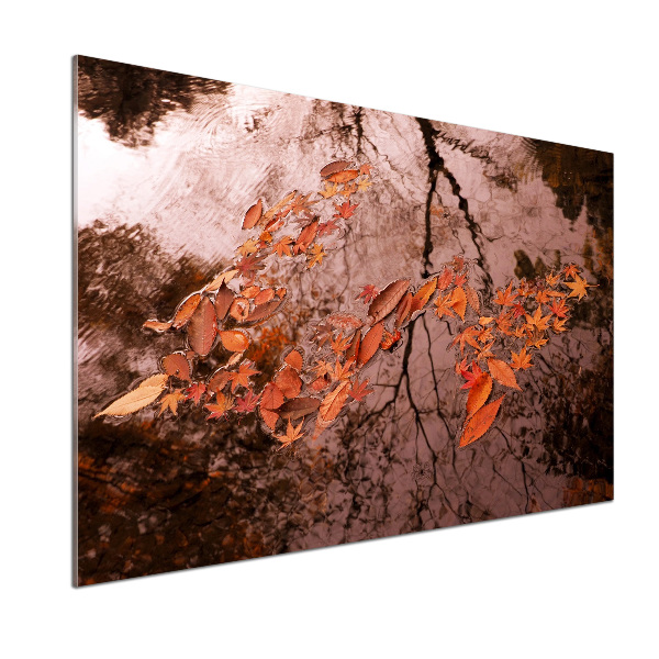 Spatscherm keuken Bladeren op het water