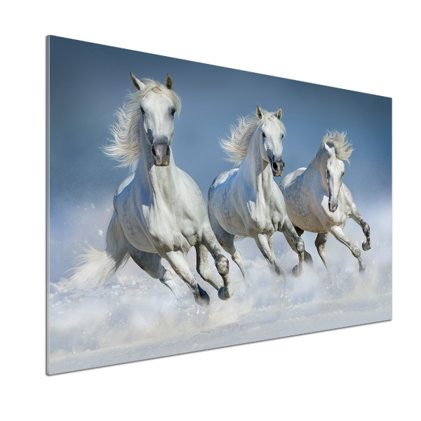 Keuken achterwand Paarden in galop