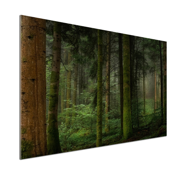 Keuken achterwand Mist in het bos