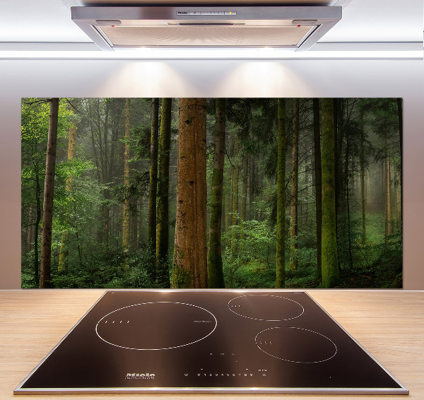 Keuken achterwand Mist in het bos