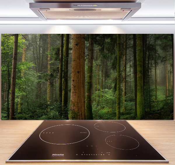 Keuken achterwand Mist in het bos