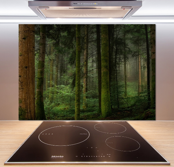 Keuken achterwand Mist in het bos