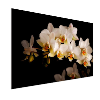 Keuken achterwand Orchidee